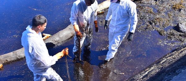 モーリシャス モーリシャス - Sputnik 日本