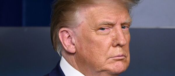 Президент США Дональд Трамп Президент США Дональд Трамп - Sputnik 日本