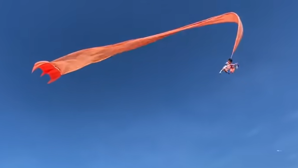 現場は騒然　凧が絡まり3歳児が上空に飛ばされる　台湾 - Sputnik 日本