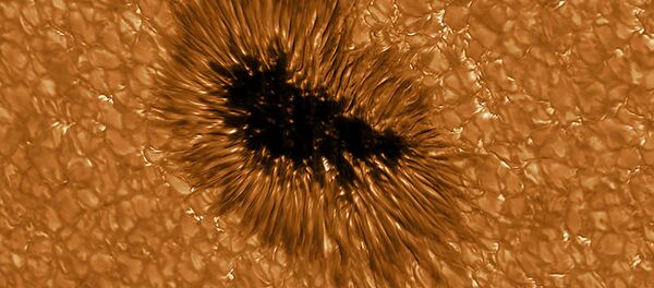 太陽表面の撮影 太陽表面の撮影 - Sputnik 日本