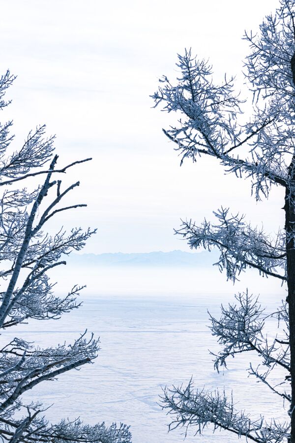 冬のバイカル湖 - Sputnik 日本