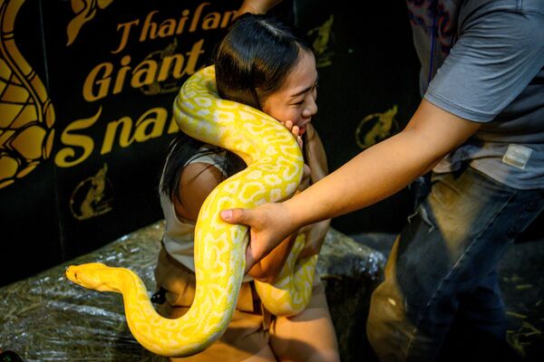 9月5日、「Pet Expo Thailand 2020」でニシキヘビと一緒に写真を撮る来場者 - Sputnik 日本