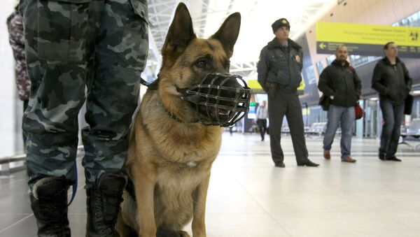 警察犬 - Sputnik 日本