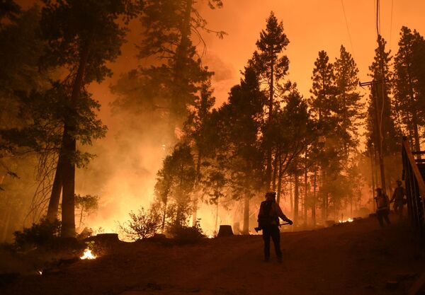 米カリフォルニア州のシエラ国有林で、山火事の消火活動にあたる消防士ら - Sputnik 日本