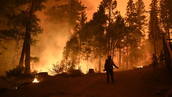 Пожарные на месте лесного пожара в штате Калифорния - Sputnik 日本