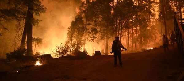 Пожарные на месте лесного пожара в штате Калифорния Пожарные на месте лесного пожара в штате Калифорния - Sputnik 日本
