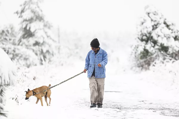 9月9日、寒波に襲われ雪が降った米コロラド州ボルダーで、犬を散歩させる女性 9月9日、寒波に襲われ雪が降った米コロラド州ボルダーで、犬を散歩させる女性 - Sputnik 日本