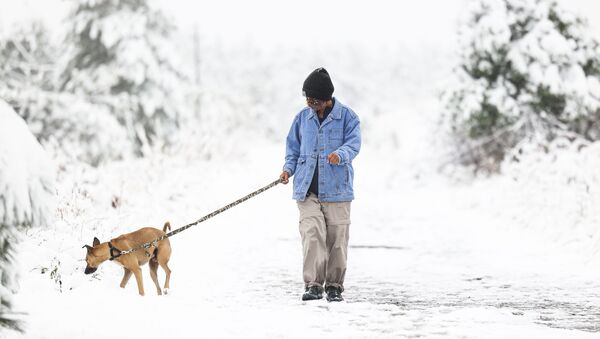 9月9日、寒波に襲われ雪が降った米コロラド州ボルダーで、犬を散歩させる女性 - Sputnik 日本