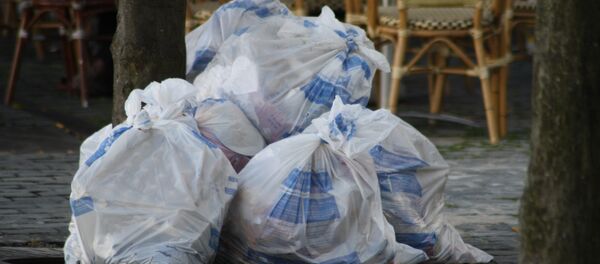 ゴミの袋 ゴミの袋 - Sputnik 日本