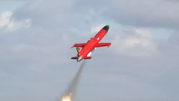 ジェット無人航空機・対空誘導弾「ダンM」 - Sputnik 日本
