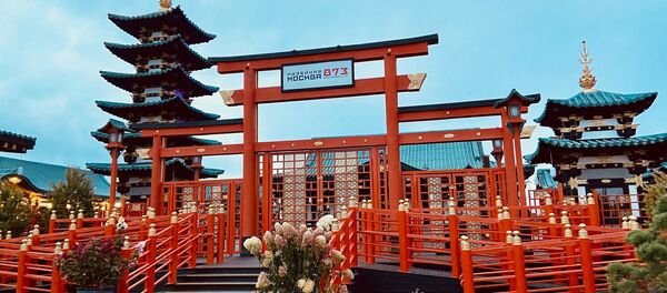 小さな日本 小さな日本 - Sputnik 日本