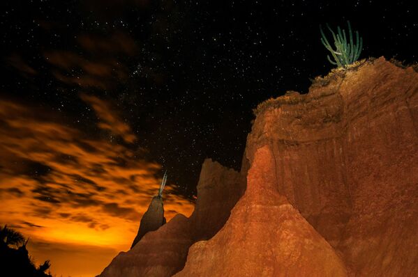 コロンビア南西部、ウイラ県にあるタタコア砂漠から見える星空 - Sputnik 日本