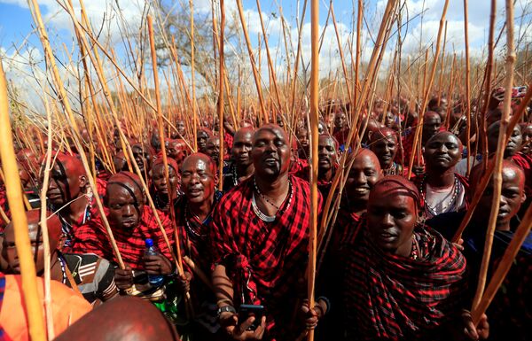 9月23日、ケニア西部カジアドで通過儀礼に臨むマサイ族の男性たち - Sputnik 日本