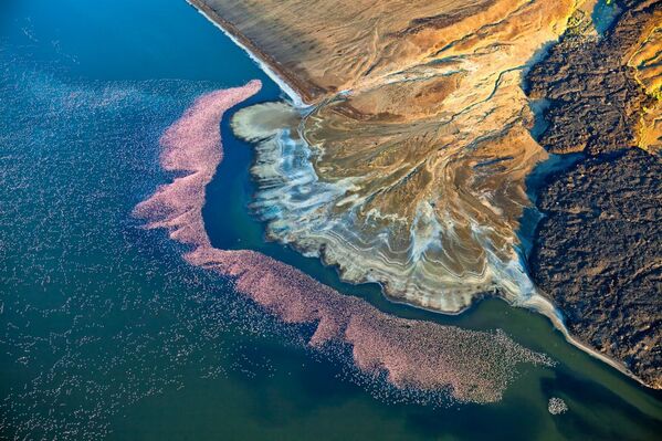 Drone Photo Awards 2020　「自然」部門2位入賞作品『Flamingos at Lake Logipi』　Martin Harvey氏 - Sputnik 日本