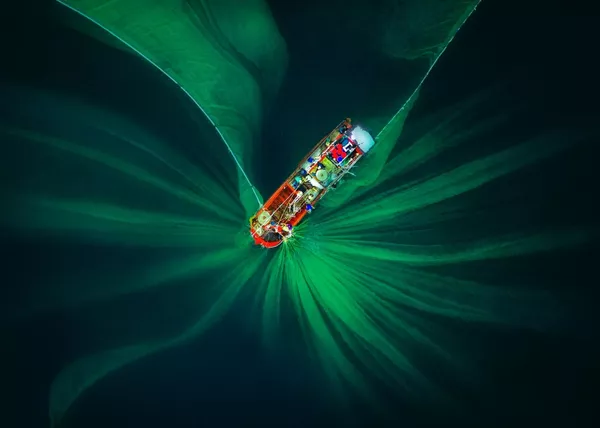 Drone Photo Awards 2020 「抽象画」部門優秀賞受賞作品『The Fishing Net』 Trung Pham Huy氏 Drone Photo Awards 2020 「抽象画」部門優秀賞受賞作品『The Fishing Net』 Trung Pham Huy氏 - Sputnik 日本