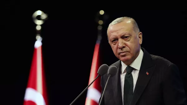トルコのエルドアン大統領 - Sputnik 日本