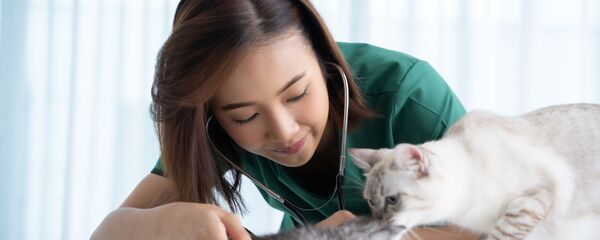 獣医 - Sputnik 日本