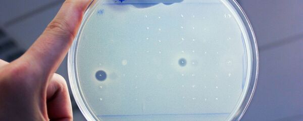 ブドウ球菌 - Sputnik 日本