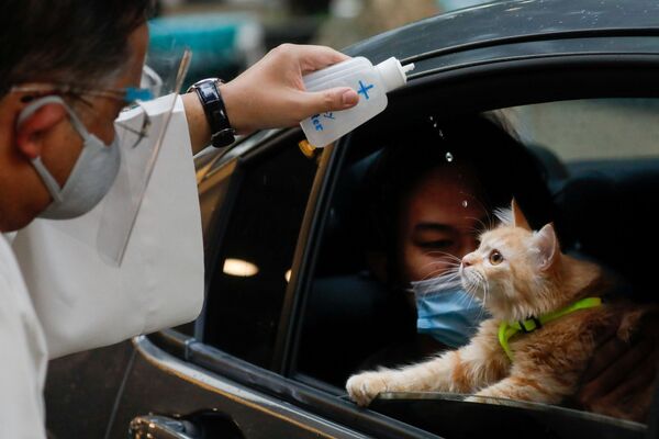 10月4日、フィリピンのケソン市で、世界動物の日を記念して猫に聖水をかける司祭 - Sputnik 日本