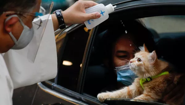 10月4日、フィリピンのケソン市で、世界動物の日を記念して猫に聖水をかける司祭 - Sputnik 日本
