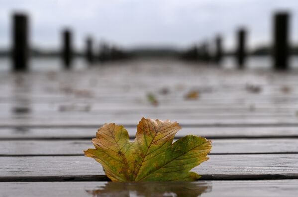 ドイツのバイエルン州。湖の桟橋に落ち葉が一枚 - Sputnik 日本