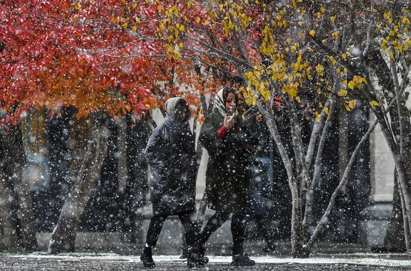 ロシアのノヴォシビルスク地方。紅葉と降雪のコントラストが美しい - Sputnik 日本