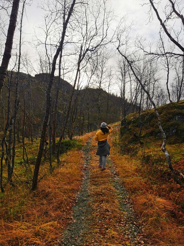 ノルウェーの秋。落ち葉の積もる森の中を散歩中 - Sputnik 日本