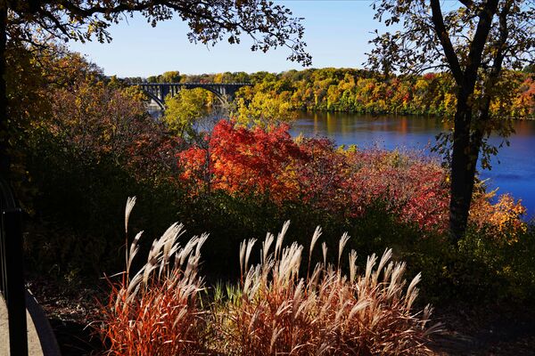 米ミシシッピ州のミシシッピ川。川岸の木々が色づいている - Sputnik 日本