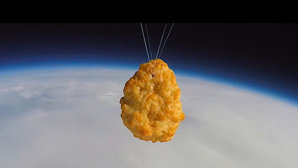 チキンナゲットが宇宙に飛び立つ - Sputnik 日本