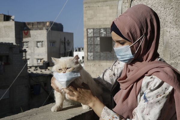 10月12日、パレスチナ自治区ガザ地区で猫にマスクを着けさせる女性 - Sputnik 日本