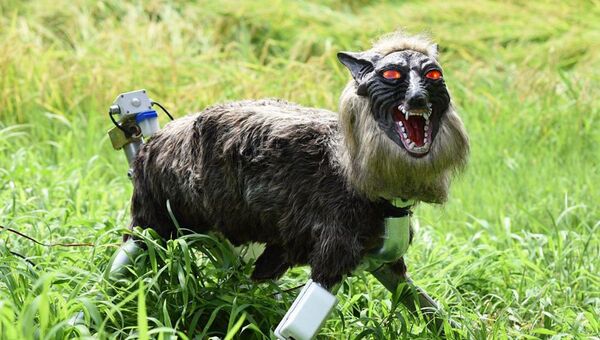 北海道　クマ撃退に悪魔的なロボットオオカミが導入へ - Sputnik 日本