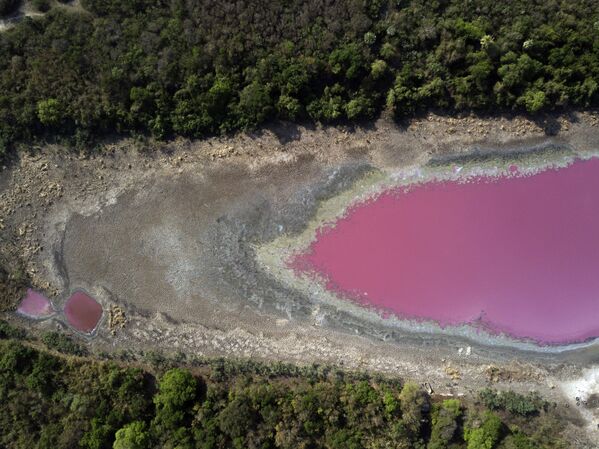 パラグアイ首都アスンシオン郊外のピンク色に染まった湖 - Sputnik 日本