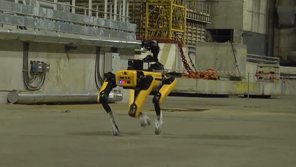 ボストン・ダイナミクス社の犬型ロボット - Sputnik 日本