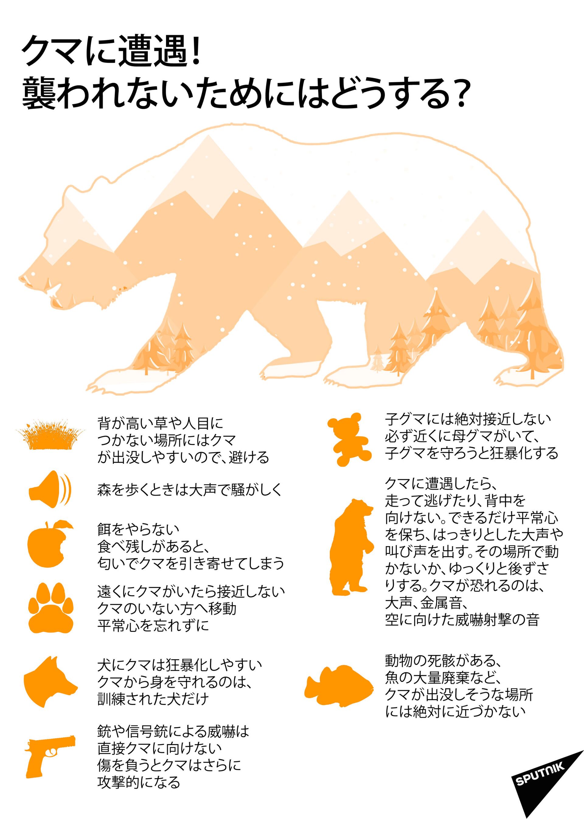 日本　2020年度の全国のクマ出没、2万件超　過去最多 - Sputnik 日本, 1920, 28.04.2021