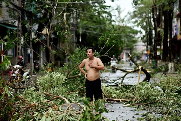 台風モラベが通過したベトナム中部クアンガイ省で、根こそぎ倒された木のそばに立つ男性 - Sputnik 日本