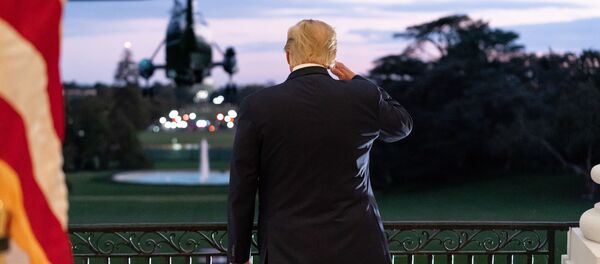 トランプ氏が勝利を宣言 正式な結果確定はまだ トランプ氏が勝利を宣言 正式な結果確定はまだ - Sputnik 日本