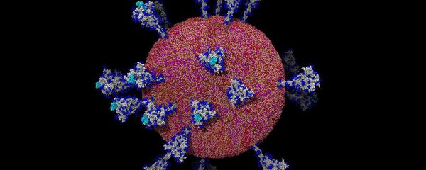 Поатомная модель коронавируса  - Sputnik 日本