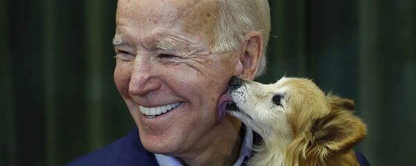 バイデン氏 バイデン氏 - Sputnik 日本