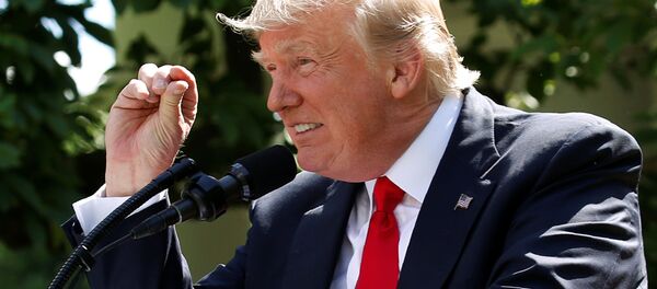 トランプ大統領 トランプ大統領 - Sputnik 日本