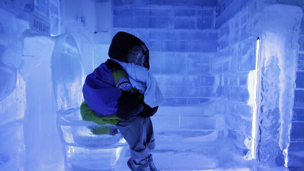 韓国のソウルにある氷の施設「ICE GALLERY」で、氷でできたトイレに座る少年（2010年8月3日）
 - Sputnik 日本