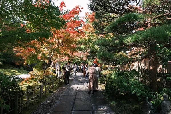 宮城県松島町の寺院「円通院」の紅葉 宮城県松島町の寺院「円通院」の紅葉 - Sputnik 日本