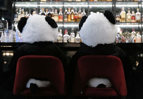イタリアンレストラン「Pino's」に置かれたパンダのぬいぐるみ - Sputnik 日本