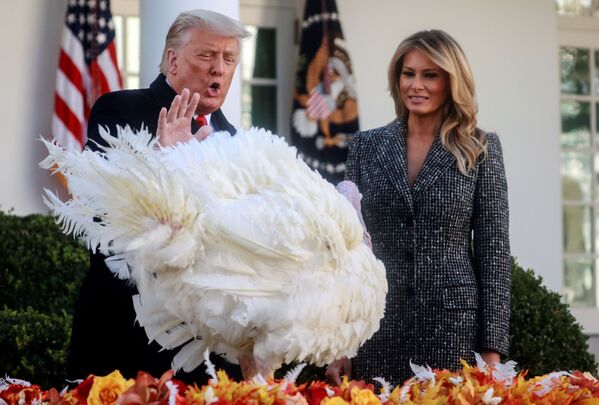 米ワシントンのホワイトハウスで11月24日、感謝祭に向け調理される予定の七面鳥に恩赦を与えたトランプ大統領 - Sputnik 日本