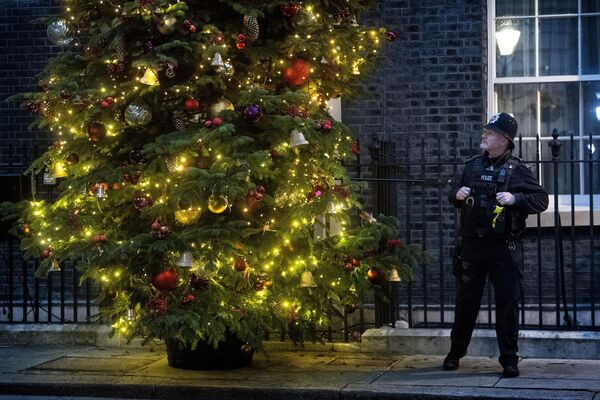 英ロンドンの首相官邸（ダウニング街10番地）に飾られたクリスマスツリー - Sputnik 日本