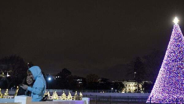 Рождественская ель в парке Эллипс в Вашингтоне, США - Sputnik 日本