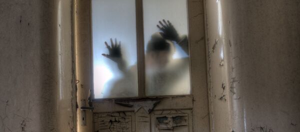 ドアの後ろの人の影 - Sputnik 日本