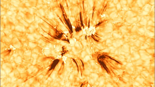 Струи намагниченной плазмы, известные как спикулы,  выбрасываются из верхней атмосферы Солнца в его корону - Sputnik 日本