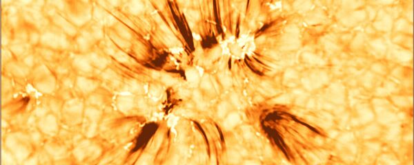 Струи намагниченной плазмы, известные как спикулы, выбрасываются из верхней атмосферы Солнца в его корону Струи намагниченной плазмы, известные как спикулы, выбрасываются из верхней атмосферы Солнца в его корону - Sputnik 日本