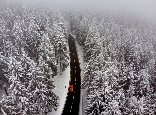ドイツのフランクフルト近郊で、雪に覆われた木々の間の道路を走行する車 - Sputnik 日本
