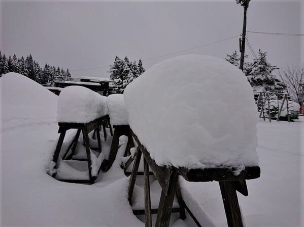 約40センチメートルの積雪を観測した広島県の猫山スキー場ゲレンデ - Sputnik 日本